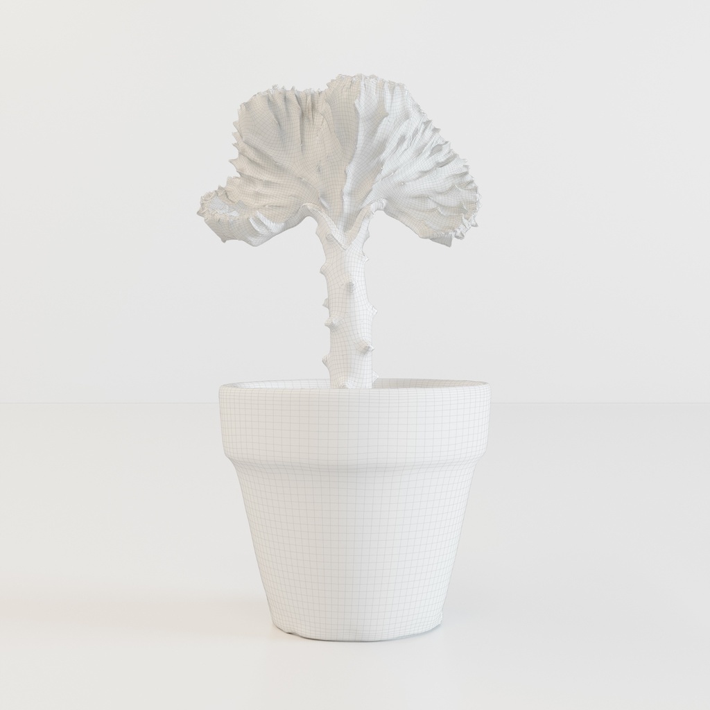 マハラジャ 【観葉植物3Dモデル】