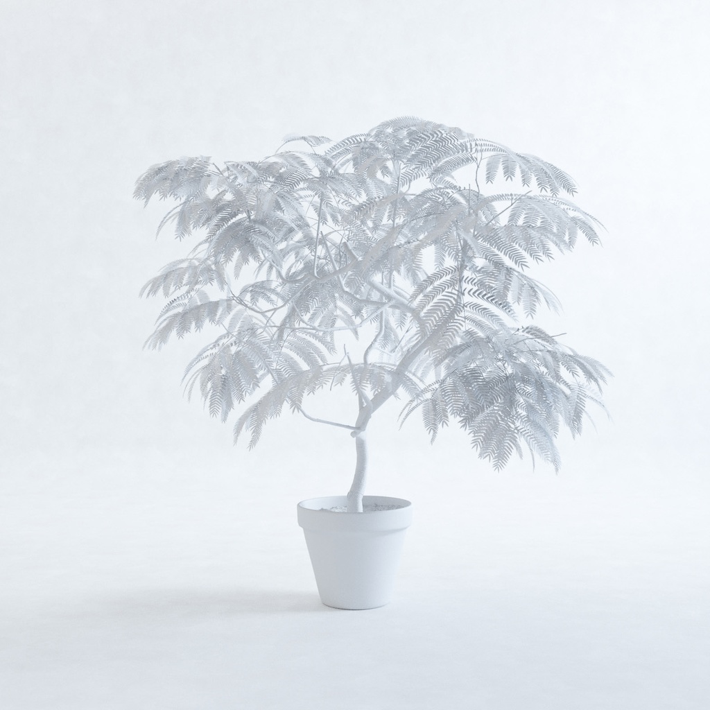 エバーフレッシュ1M【樹木・観葉植物3Dモデル】