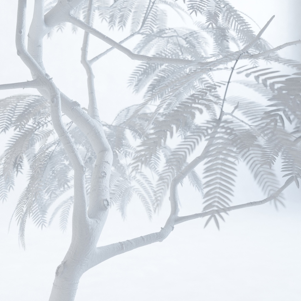 エバーフレッシュ1M【樹木・観葉植物3Dモデル】