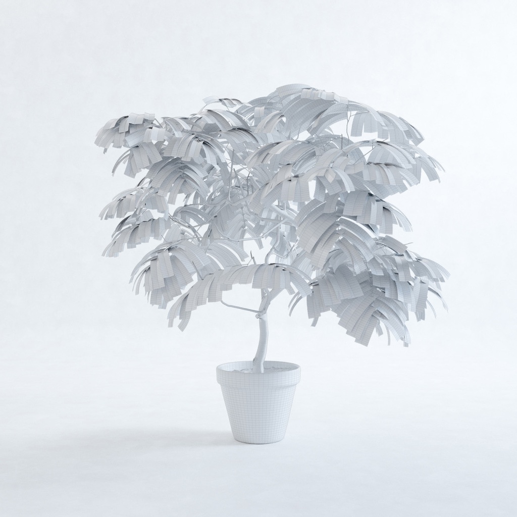 エバーフレッシュ1M【樹木・観葉植物3Dモデル】