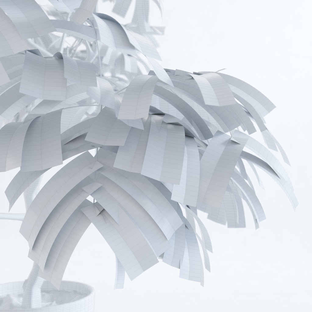 エバーフレッシュ1M【樹木・観葉植物3Dモデル】