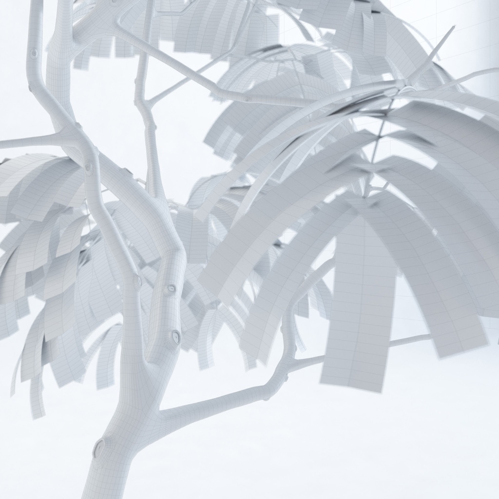 エバーフレッシュ1M【樹木・観葉植物3Dモデル】