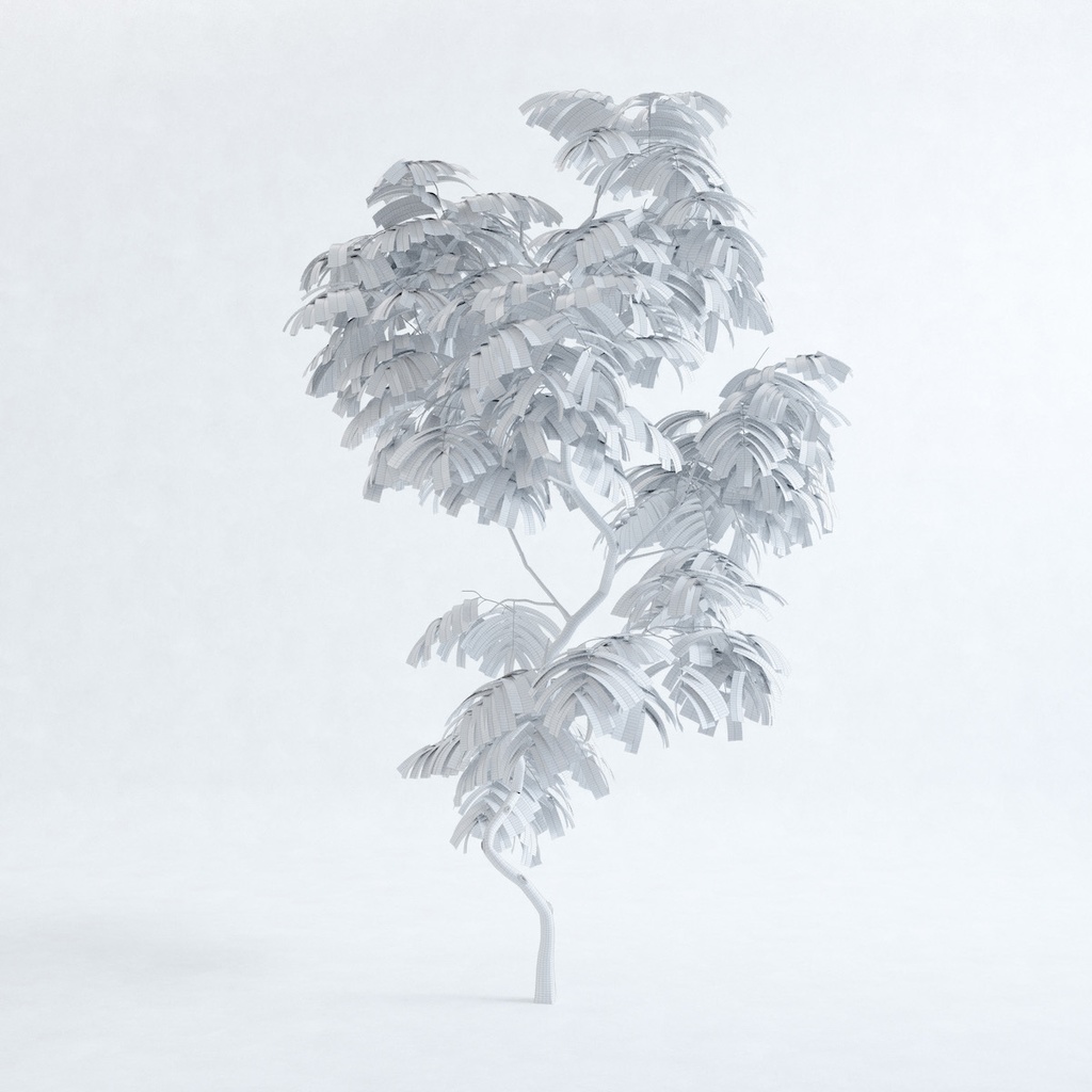 エバーフレッシュ2M【樹木・観葉植物3Dモデル】