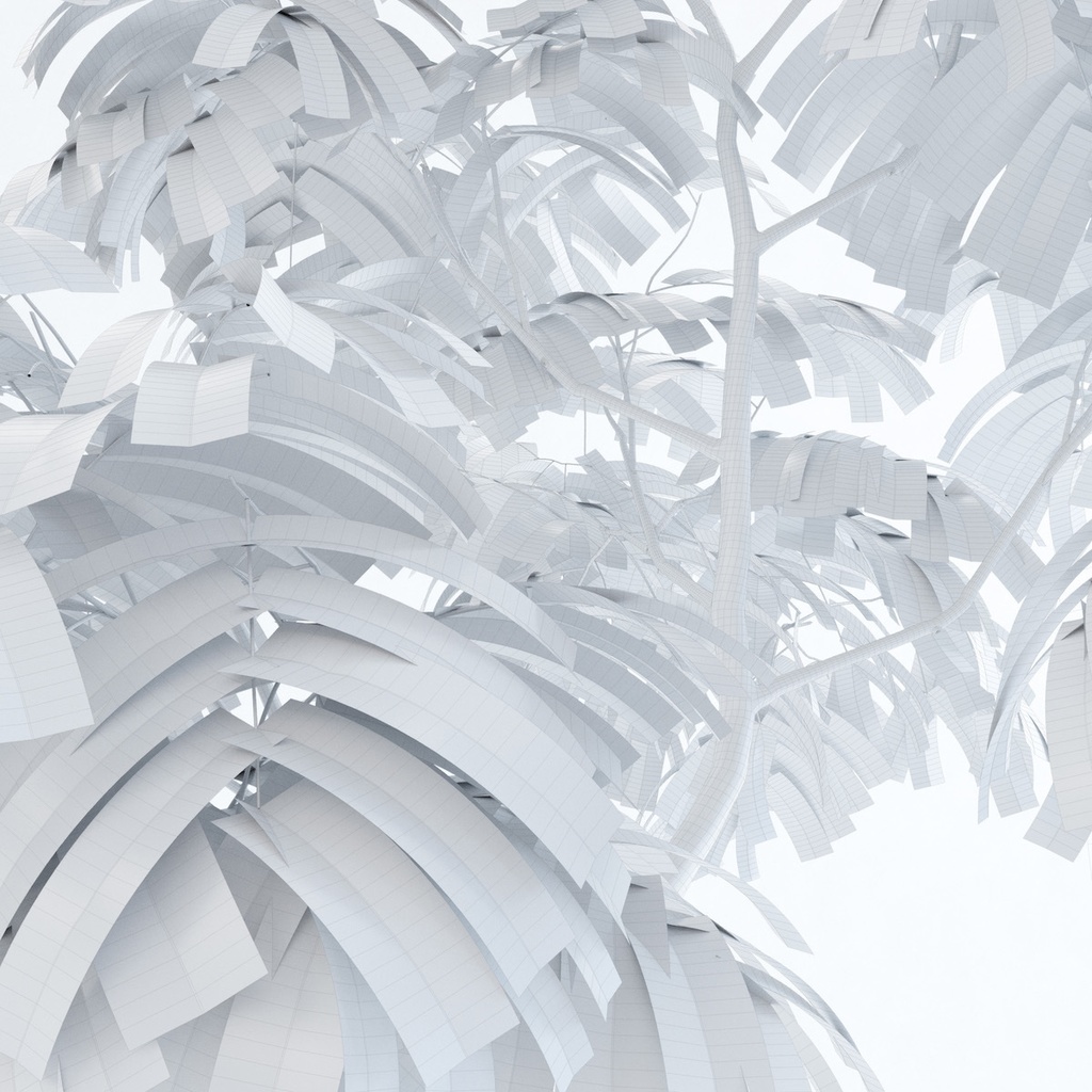 エバーフレッシュ2M【樹木・観葉植物3Dモデル】