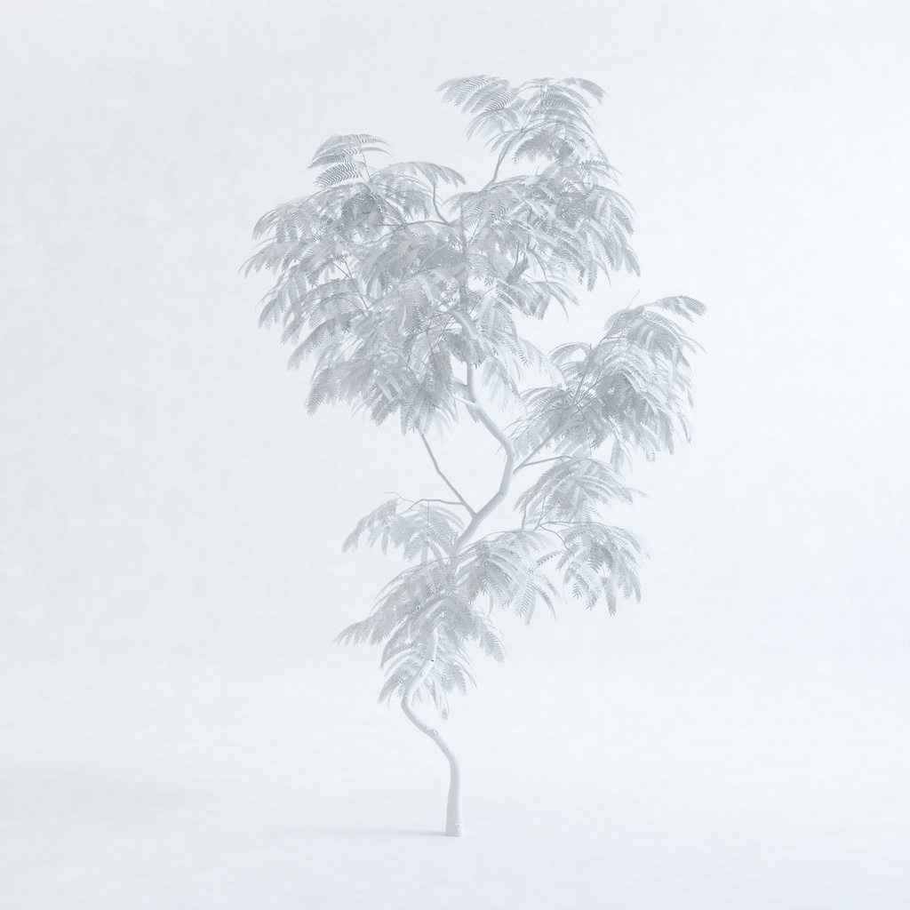 エバーフレッシュ2M【樹木・観葉植物3Dモデル】