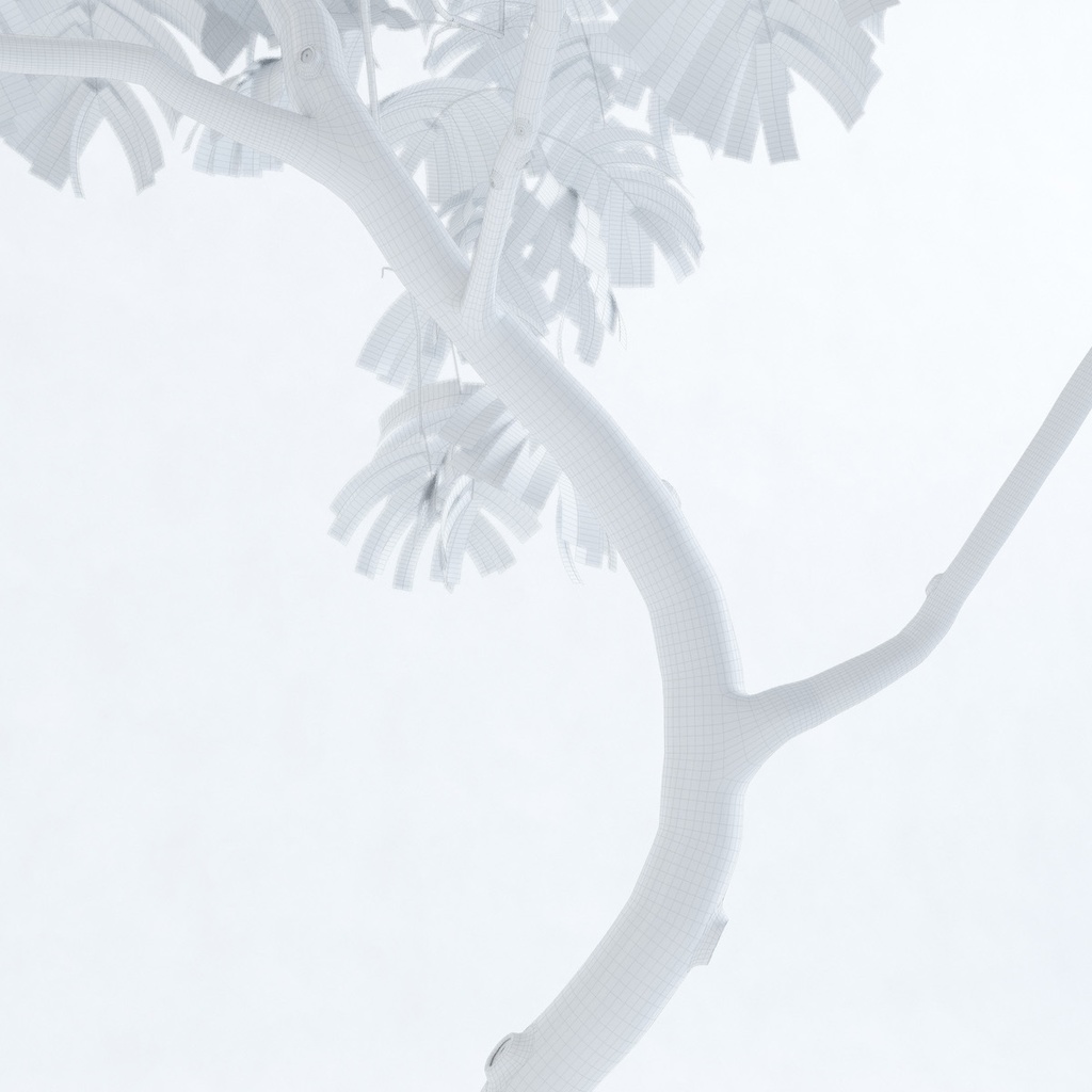 エバーフレッシュ3M【樹木・観葉植物3Dモデル】