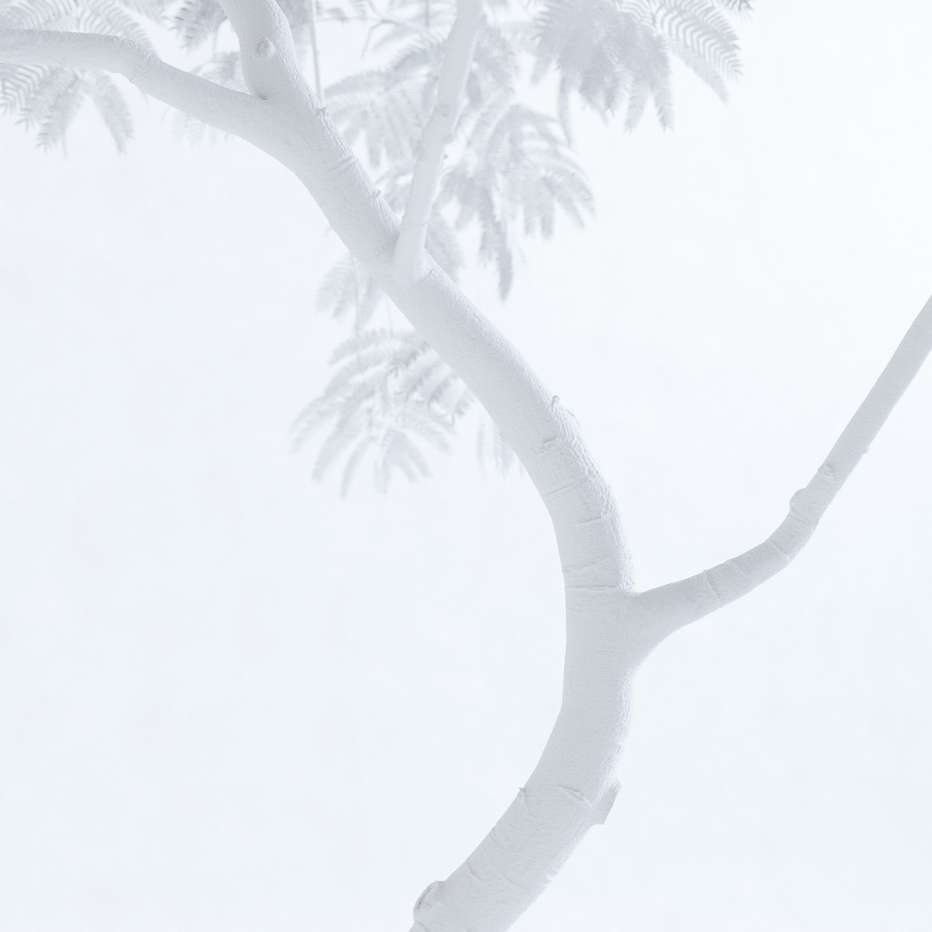 エバーフレッシュ3M【樹木・観葉植物3Dモデル】