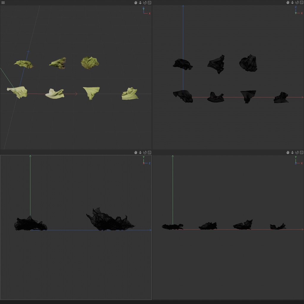 サニーレタス(リーフレタス) 【3Dモデル】