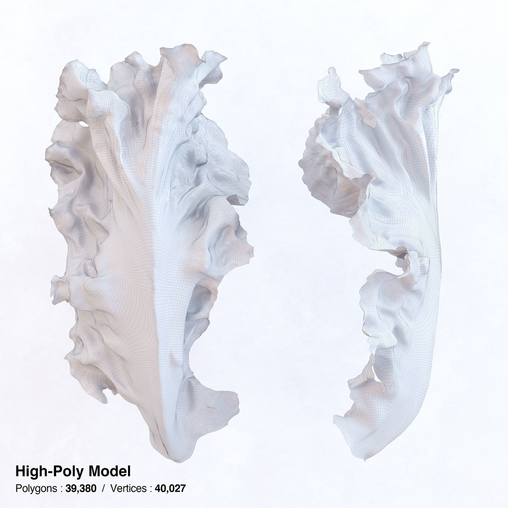 サニーレタス(リーフレタス) 【3Dモデル】