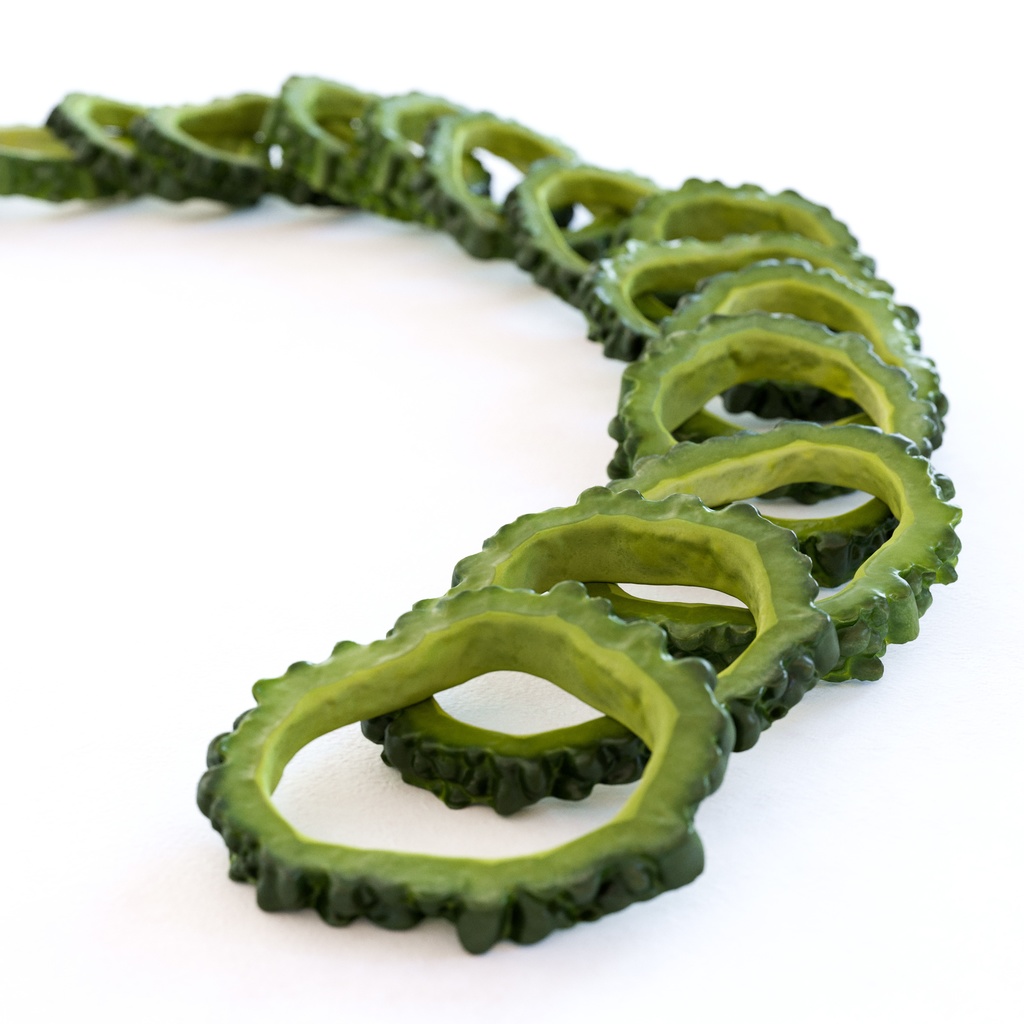 ゴーヤ(にがうり)【3Dモデル】