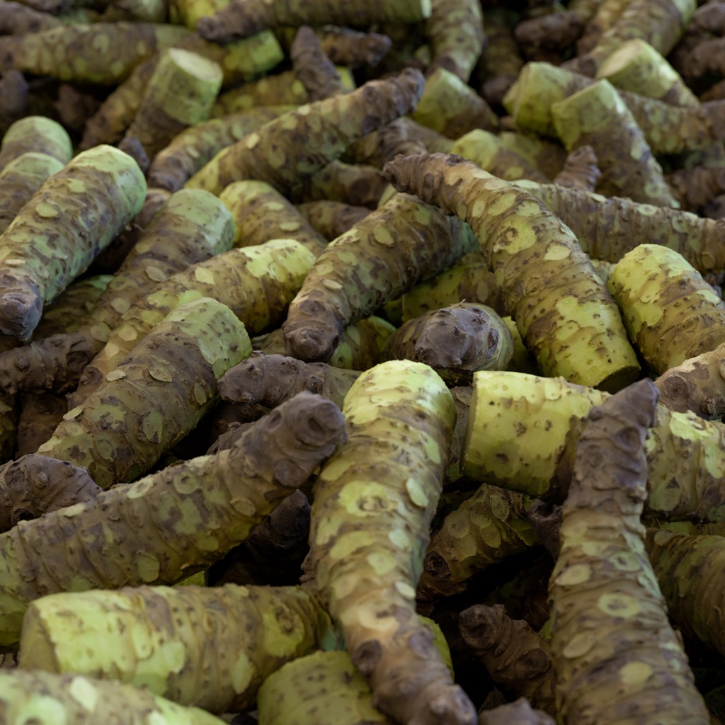 わさびおろし(鮫皮おろし)と山葵セット【3Dモデル】