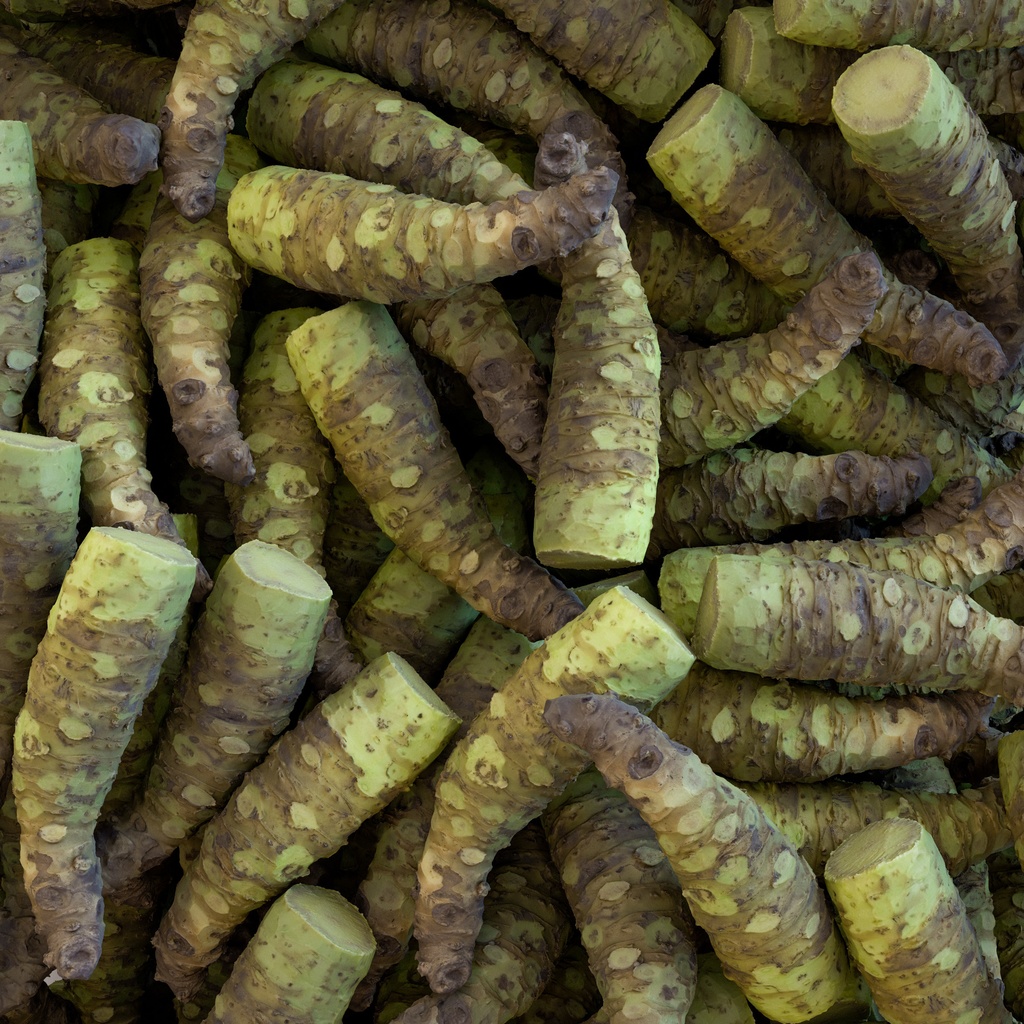 わさびおろし(鮫皮おろし)と山葵セット【3Dモデル】