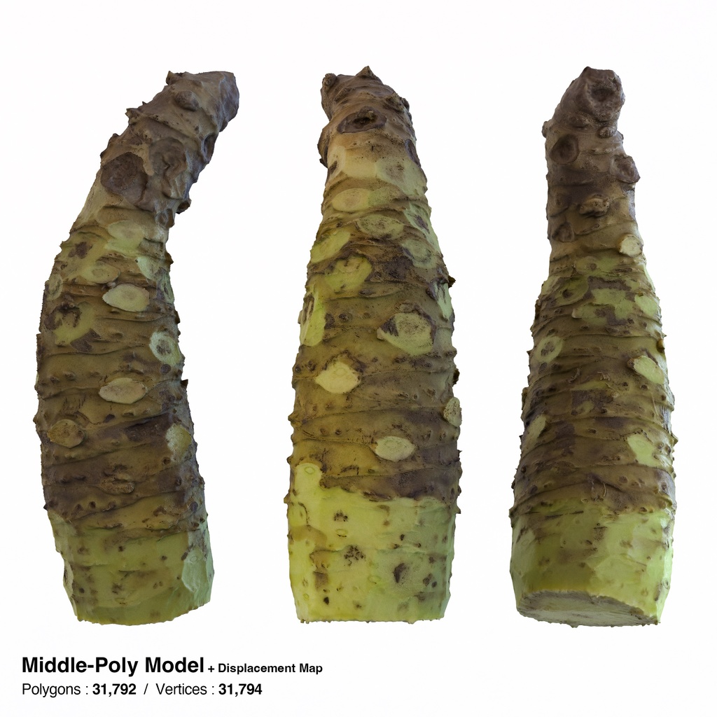 わさびおろし(鮫皮おろし)と山葵セット【3Dモデル】