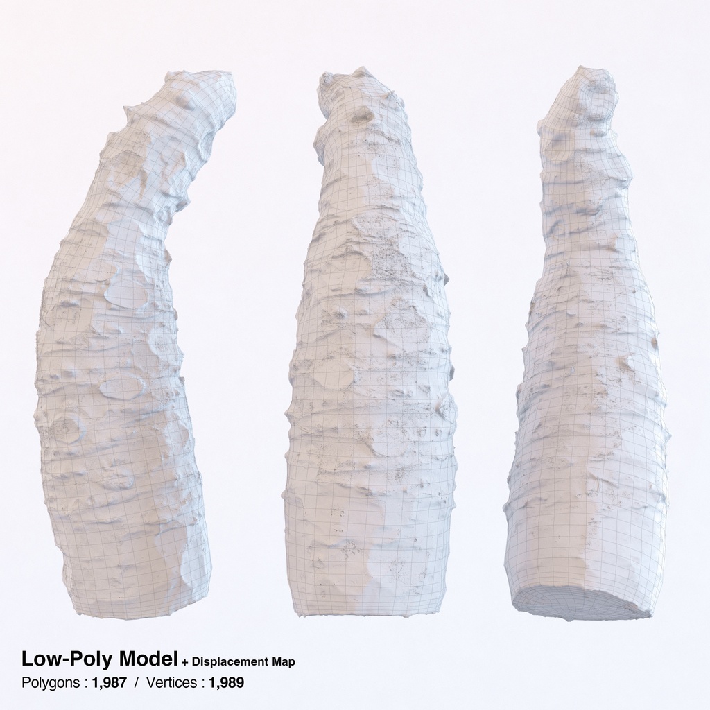 わさびおろし(鮫皮おろし)と山葵セット【3Dモデル】