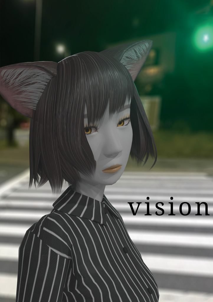 vision