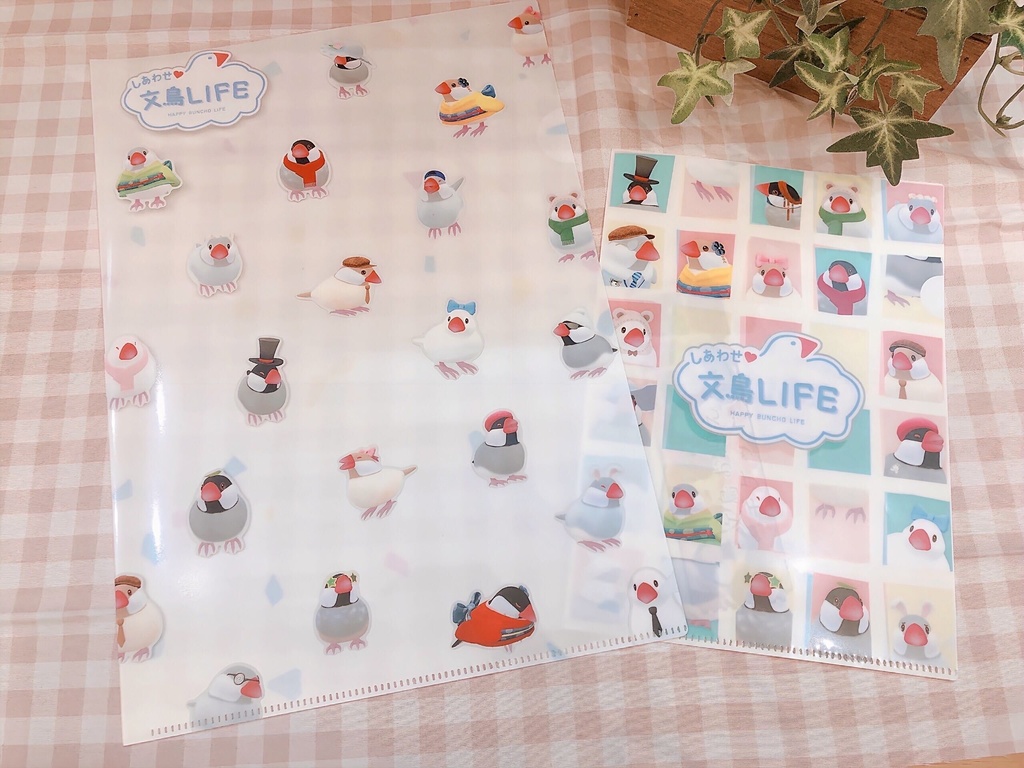 【送料無料】文鳥LIFE クリアファイルセット