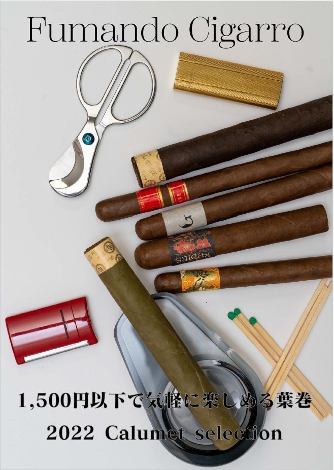Fumando Cigarro 2022