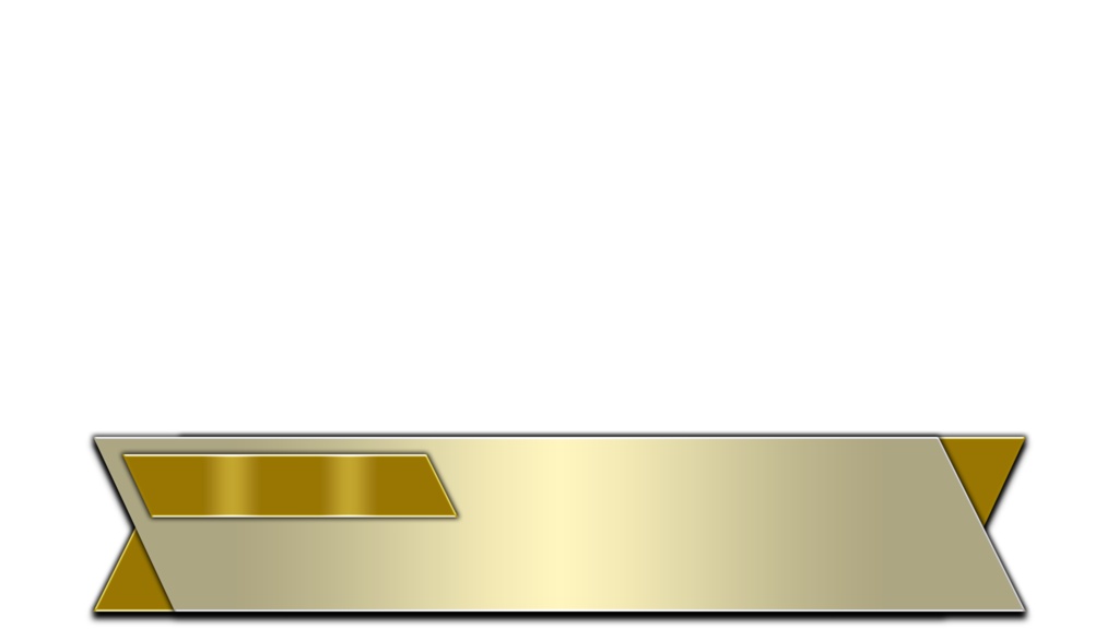 【元テレビマンが制作】〜あなたの動画を“テレビ番組級”のクオリティへ! 人名・プロフィール・告知・エンドロール用テロップ(PNG)〜