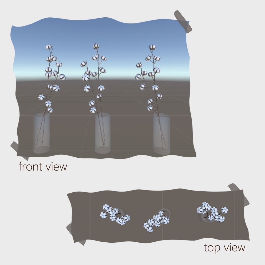 001. cotton flower - 3D