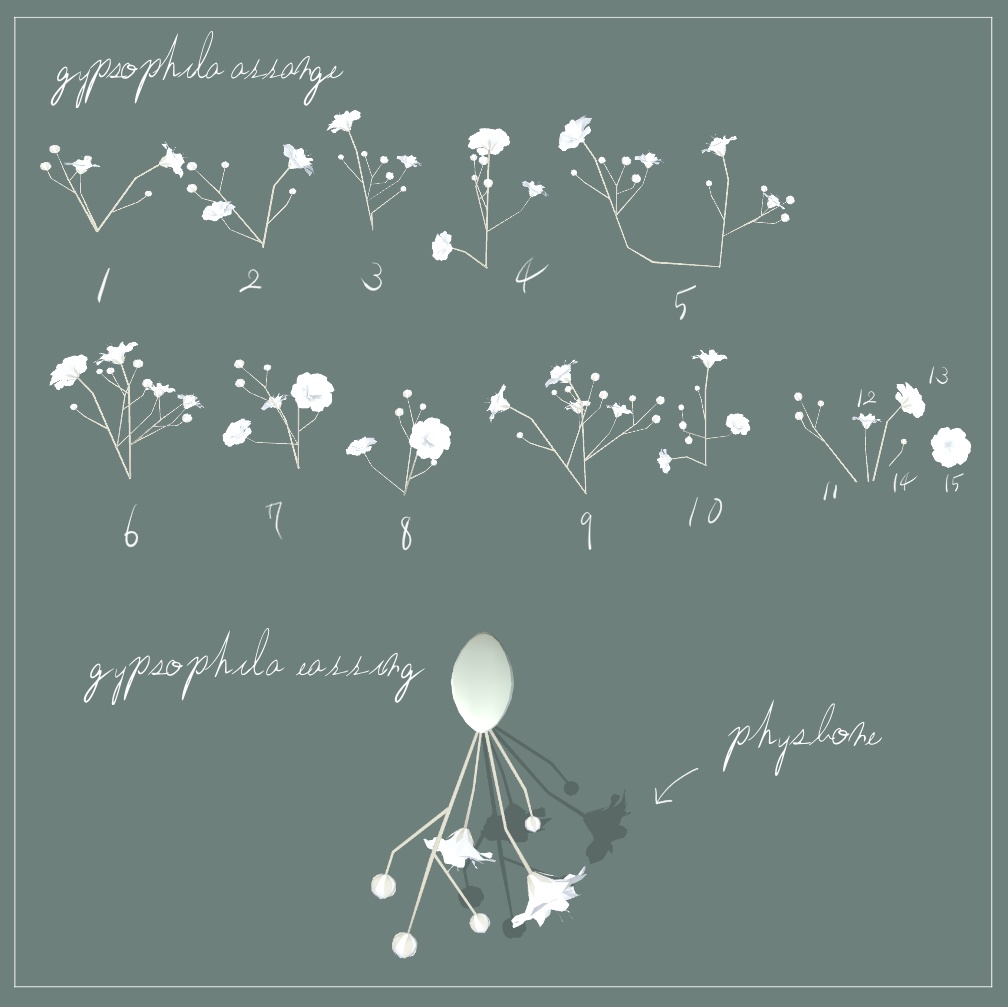 gypsophila - 3D accessories