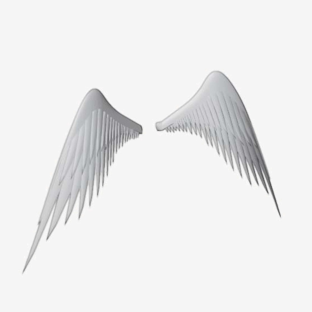 シンプルなつばさ 3Dモデル