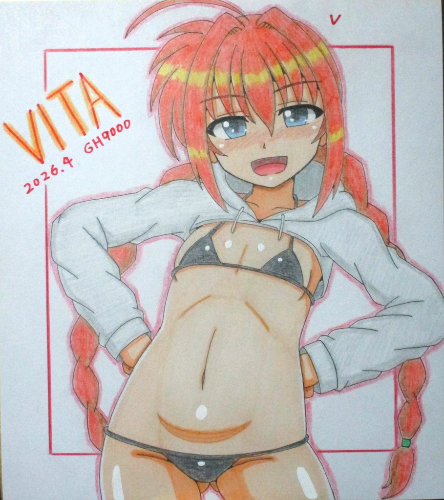 イラスト色紙・すけべパーカーヴィータ