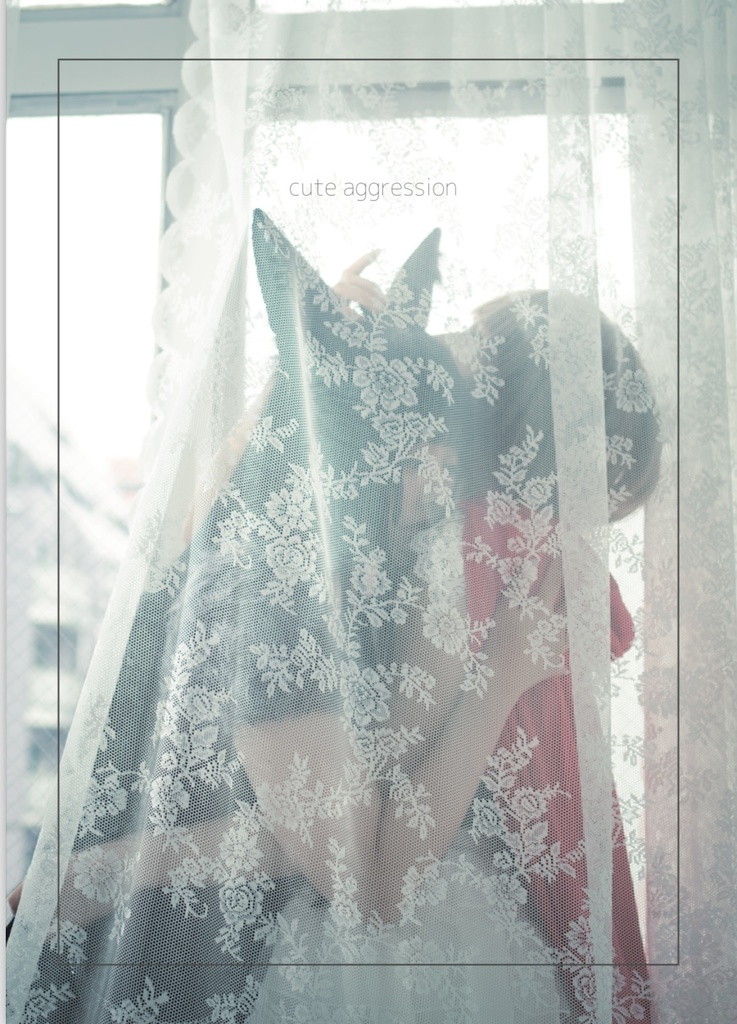 cute aggression ROMデータ付き