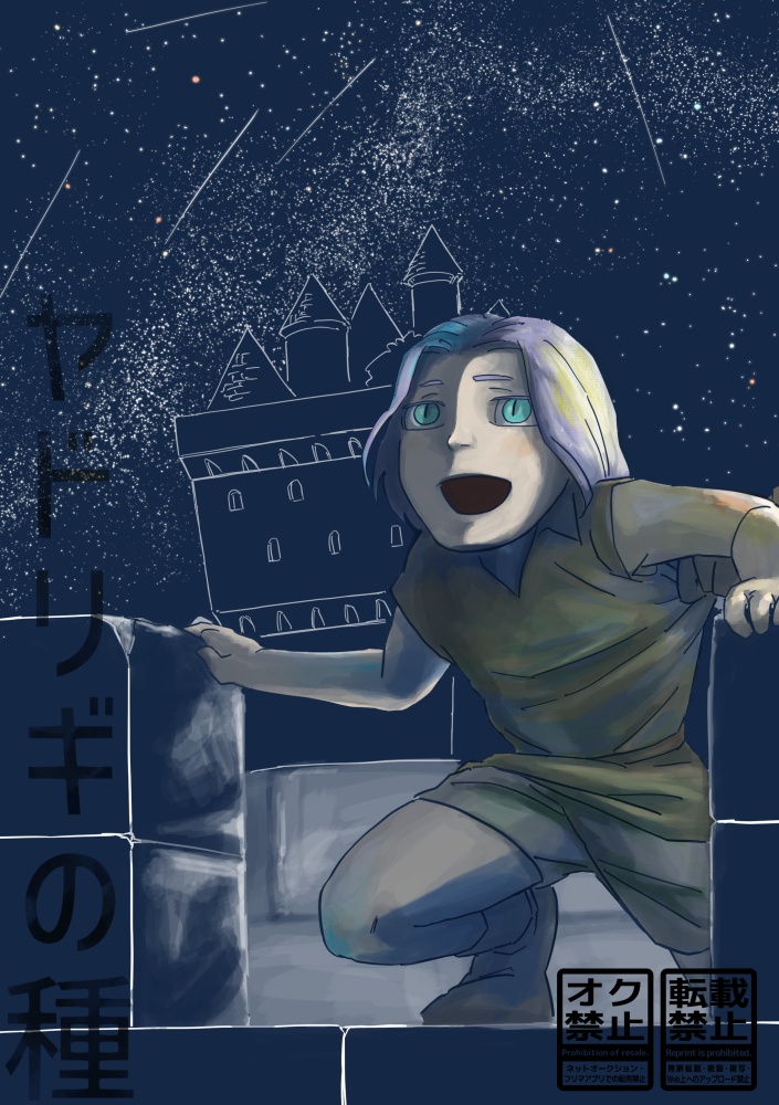 ヤドリギの種【匿名配送】