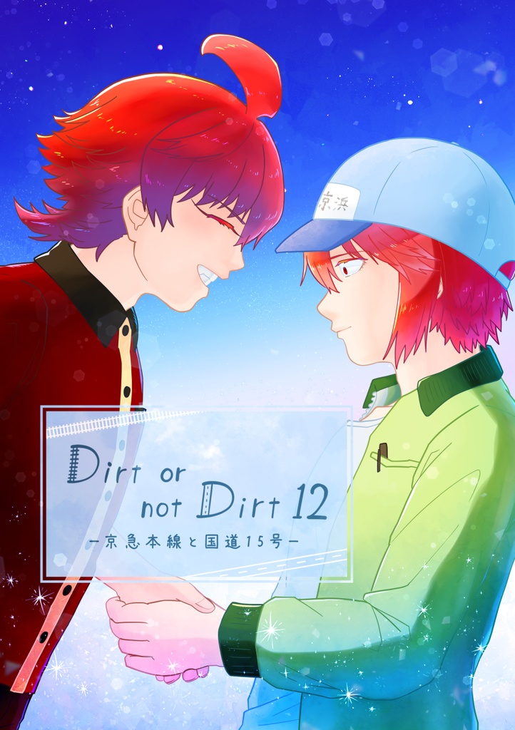 Dirt or not Dirt 12
