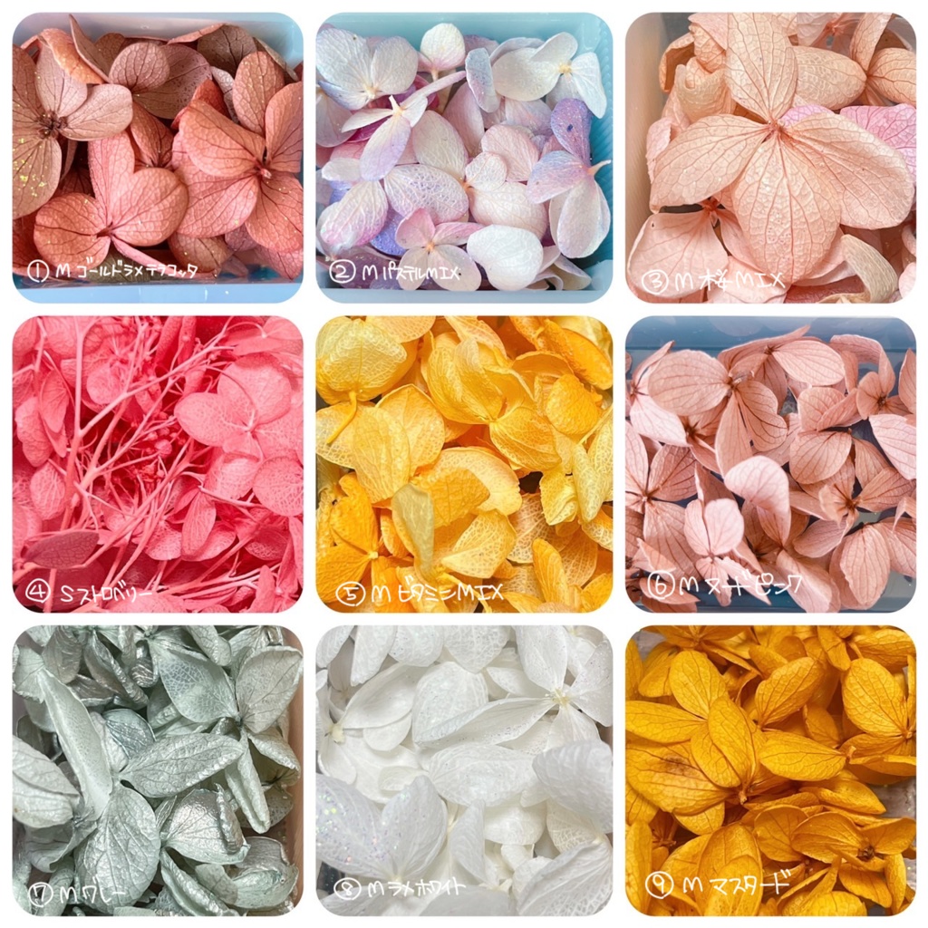 アニマル👑(オーダーページ)