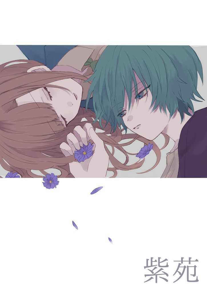 紫苑