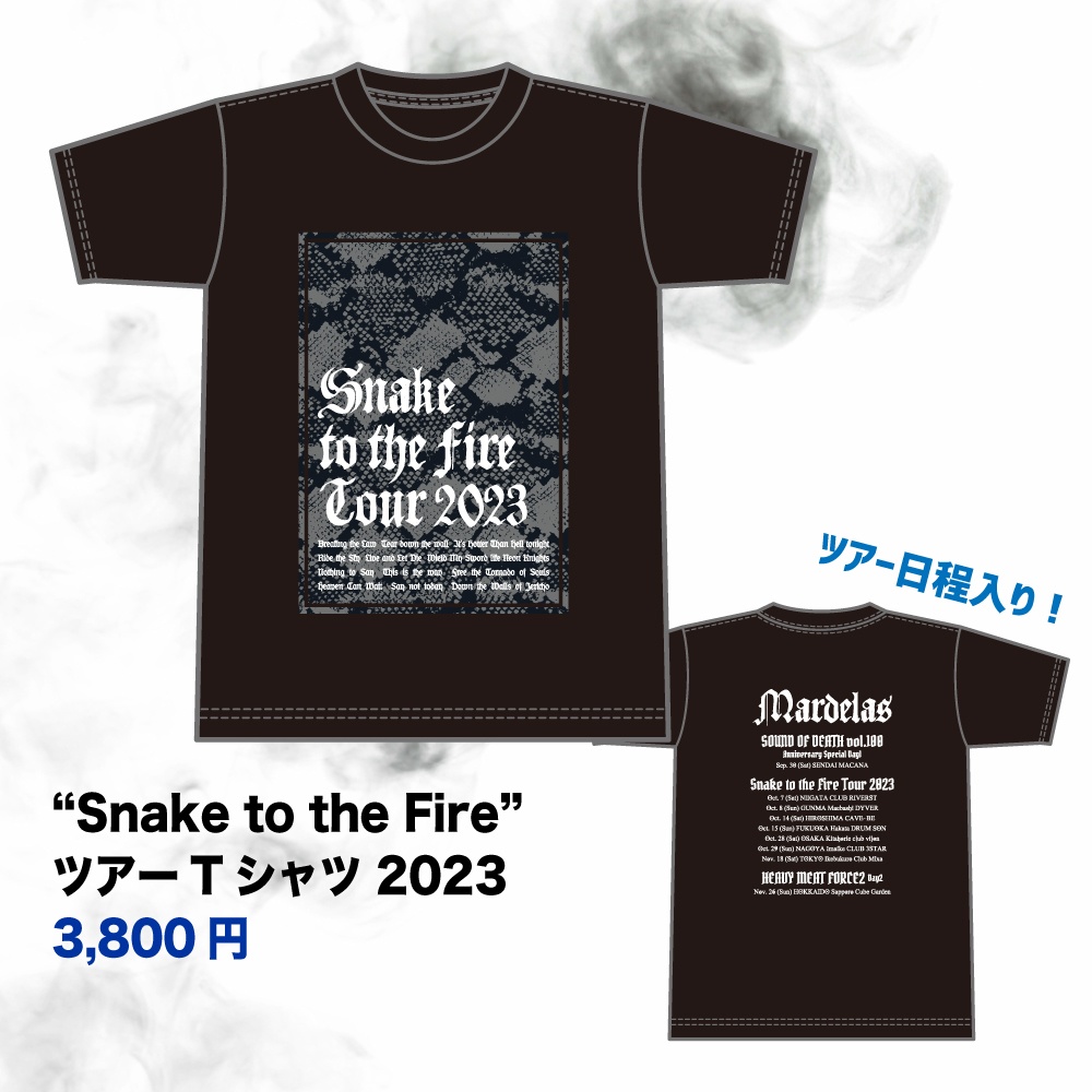 "Snake to the Fire" ツアー Tシャツ 2023 (グレー)