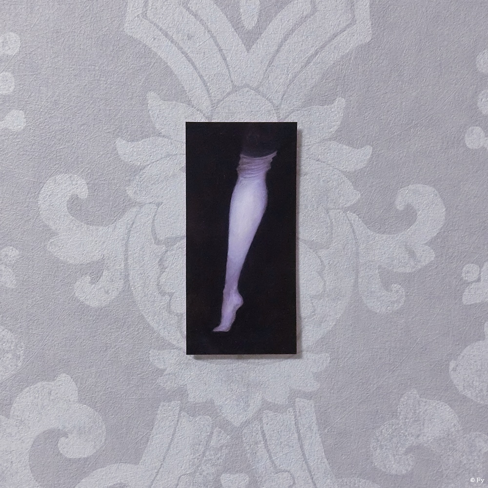 「ex libris - your spirit in the tiny mirror」10：繰り返されるルルベ