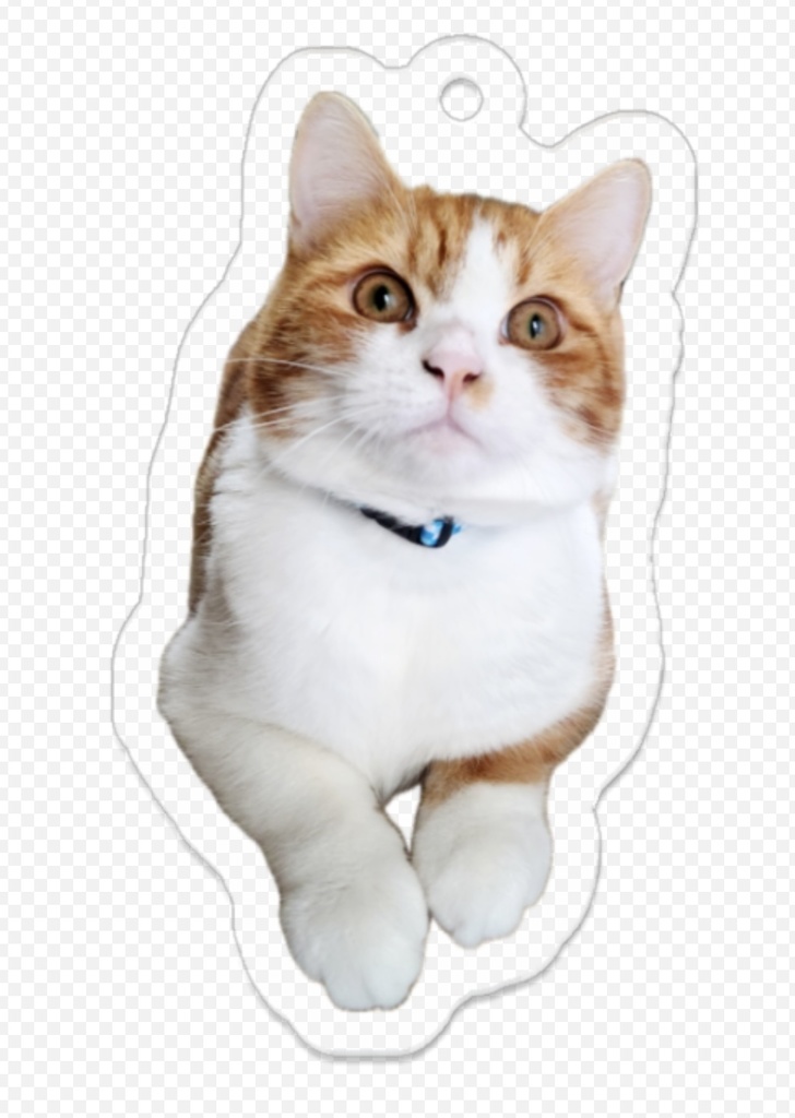 ネコチャンアクキー