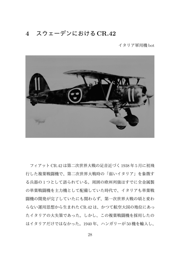スウェーデン空軍機 -スウェーデン及びイタリアで製造されたスウェーデン空軍機について語る本-