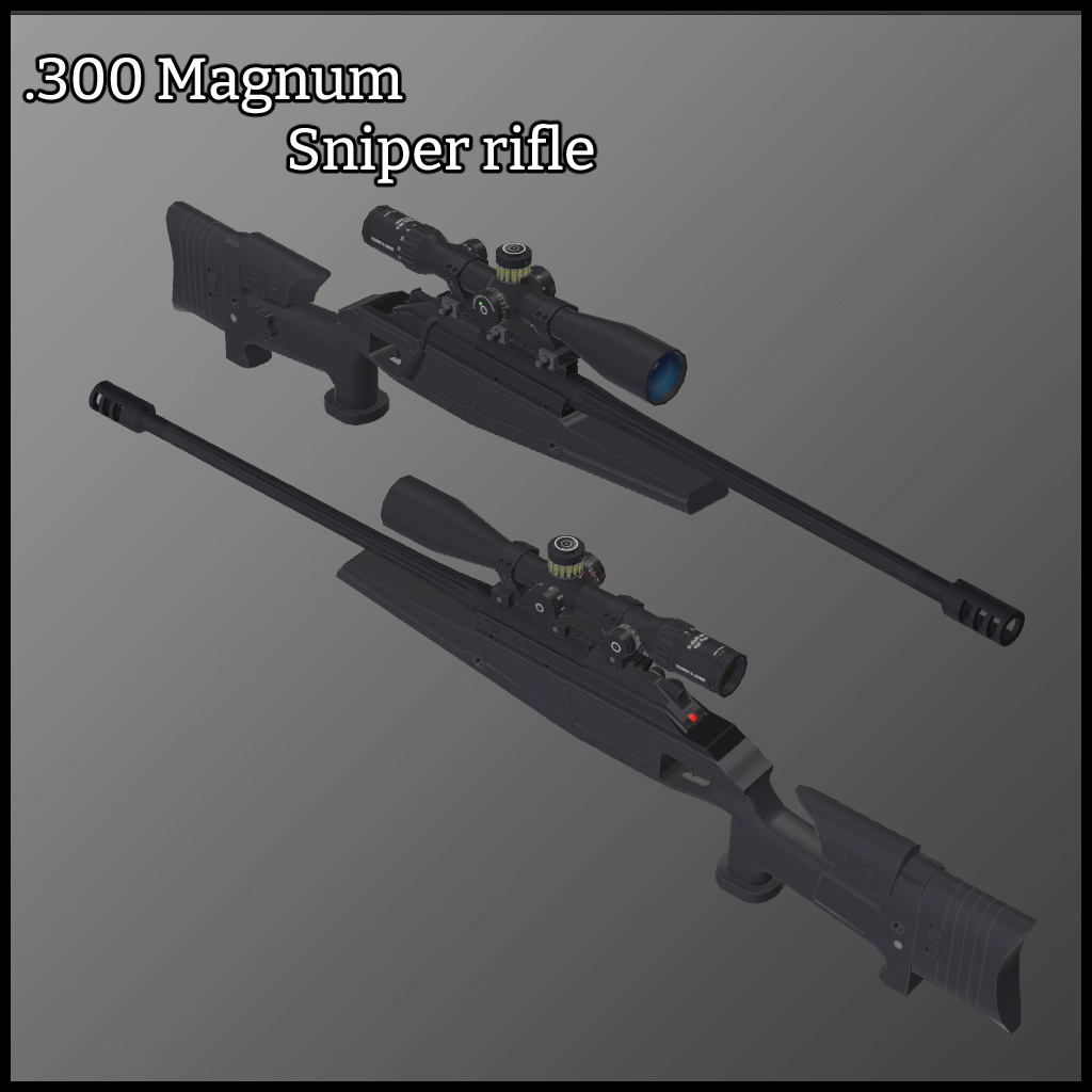 .300 Magnum Sniper rifle