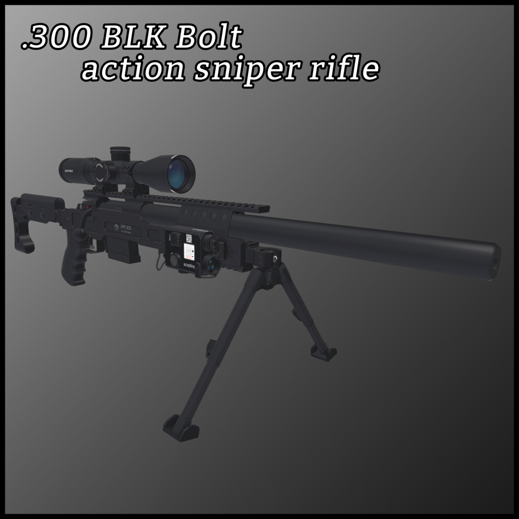 .300 BLK Bolt action sniper rifle