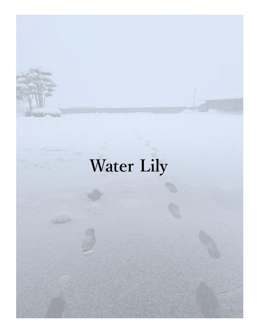 【青緑】『Water Lily』