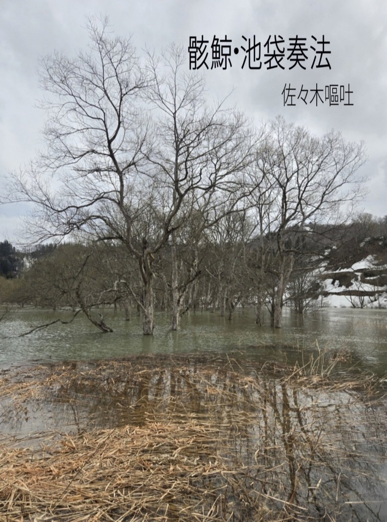 全集･解説（実験詩のおまけつき）