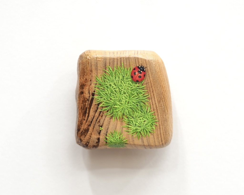 屋久杉の苔ブローチ8