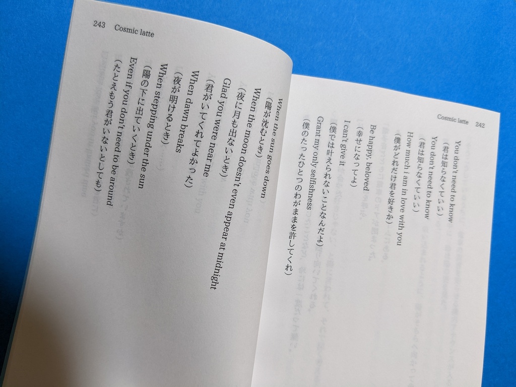 【小説・オマケ冊子つき】You don't need to know