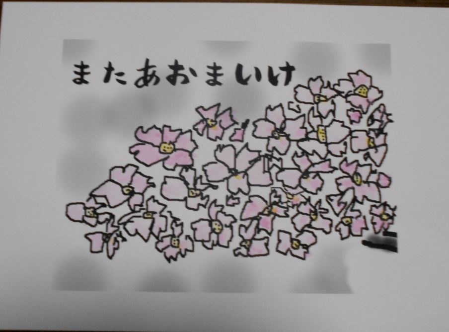 桜