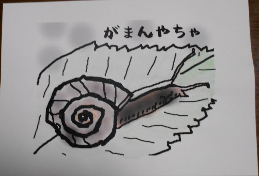 カタツムリ