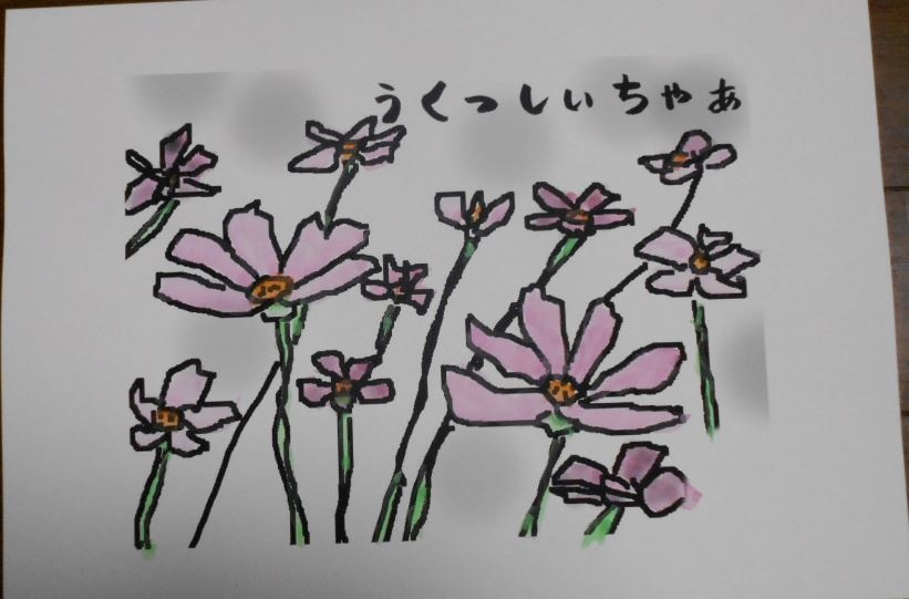 コスモス
