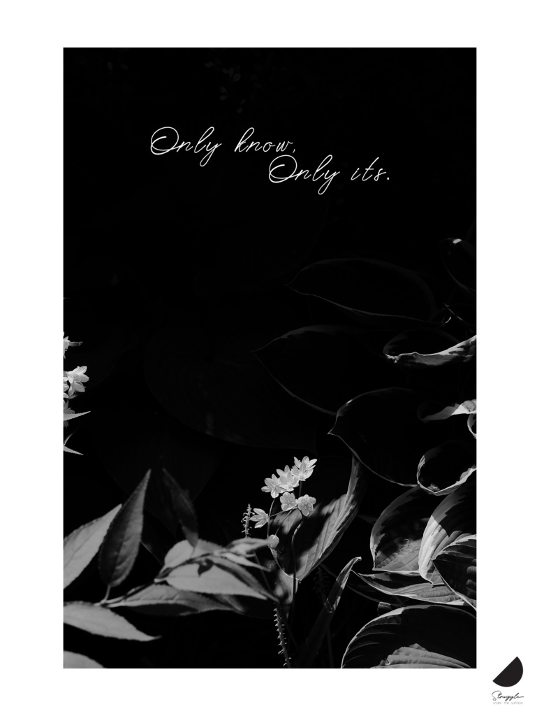 【受注生産】Only know,Only its.【マルシェバッグ 本体：黒】