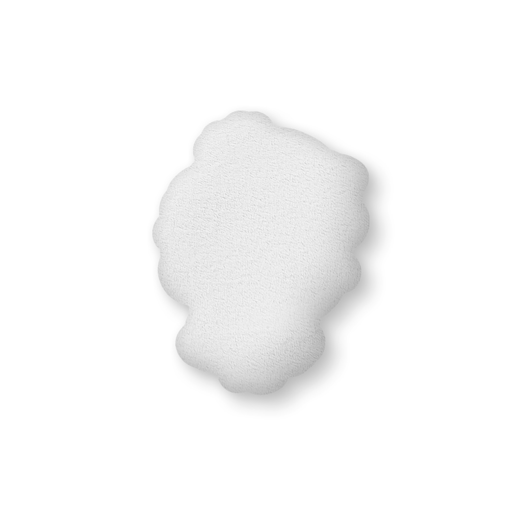 2024年お誕生日記念 ふかふかクッション