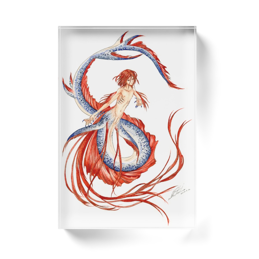 赤い鰭の人魚のアクリルブロック