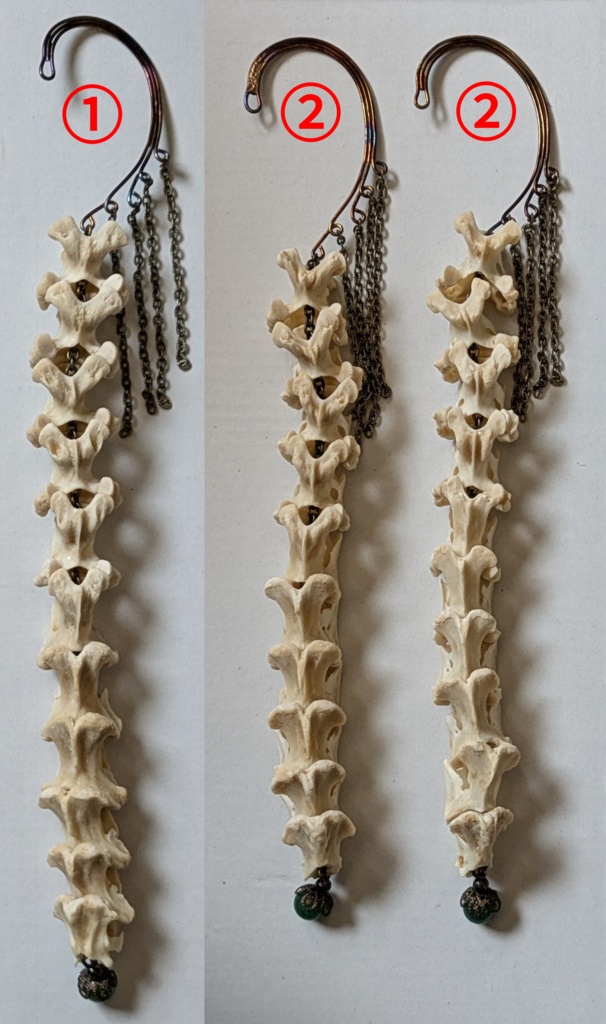 背骨イヤーフック