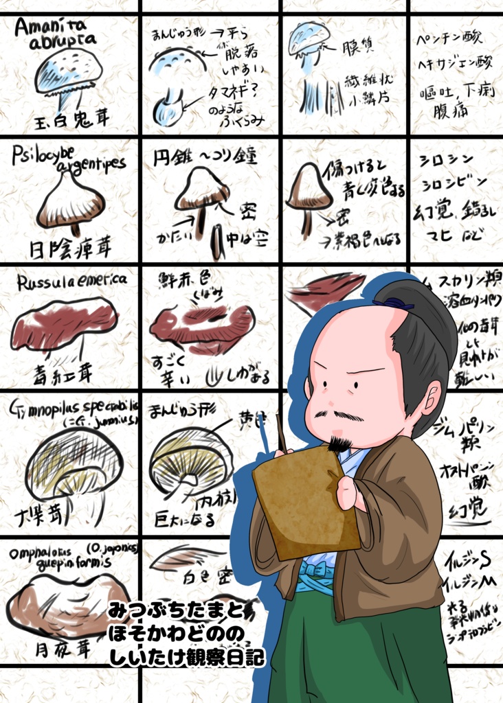 みつぶちたまとほそかわどののしいたけ観察日誌 どうでもいい紙版