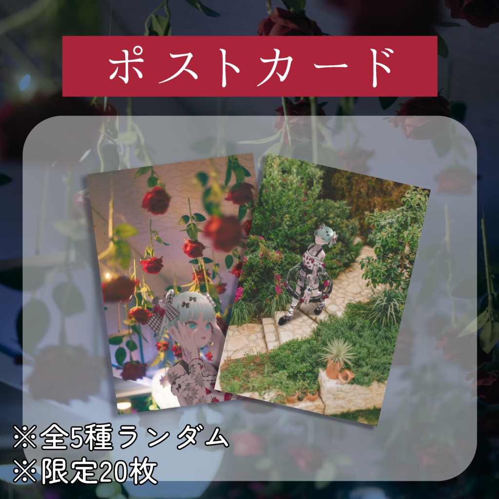 🕊️【7月】ランダムポストカード🕊️